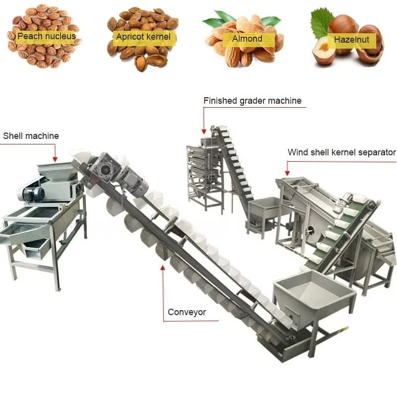 Usine de traitement de noix d'amande à haute efficacité, ligne de production de rôtissage, usine de traitement de noix pour la vente en gros