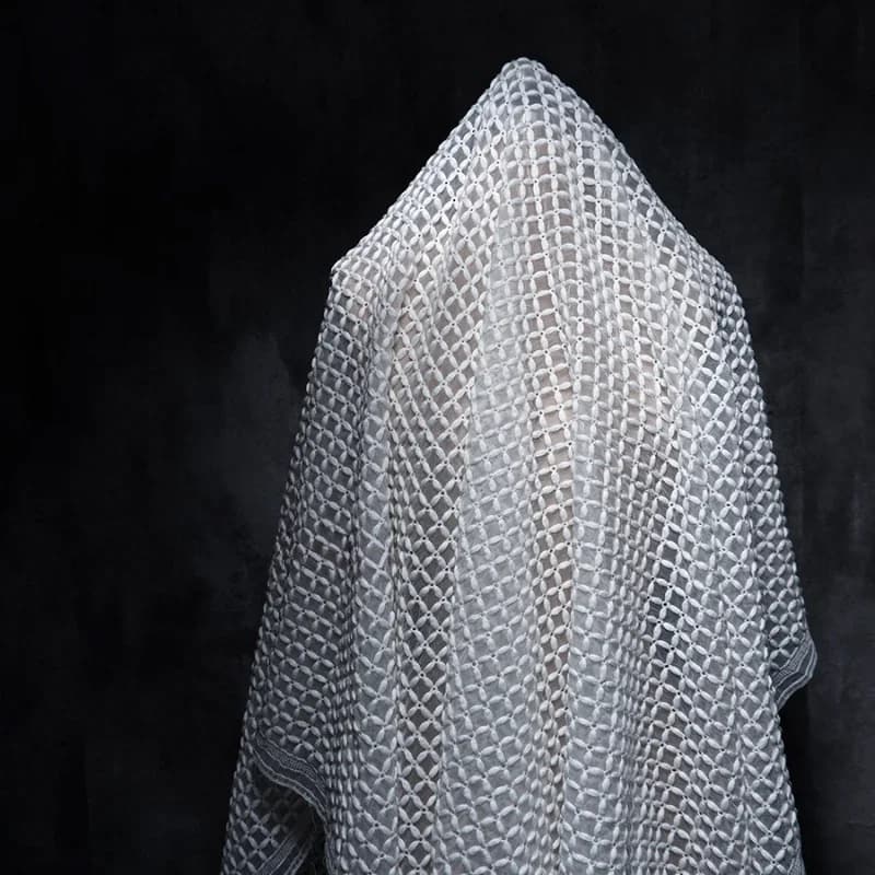 Organza Brodé Riz Grossier Mars