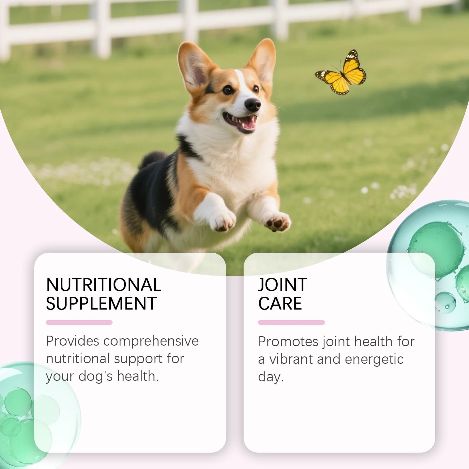 Gouttes de collagène pour chien 60 ml