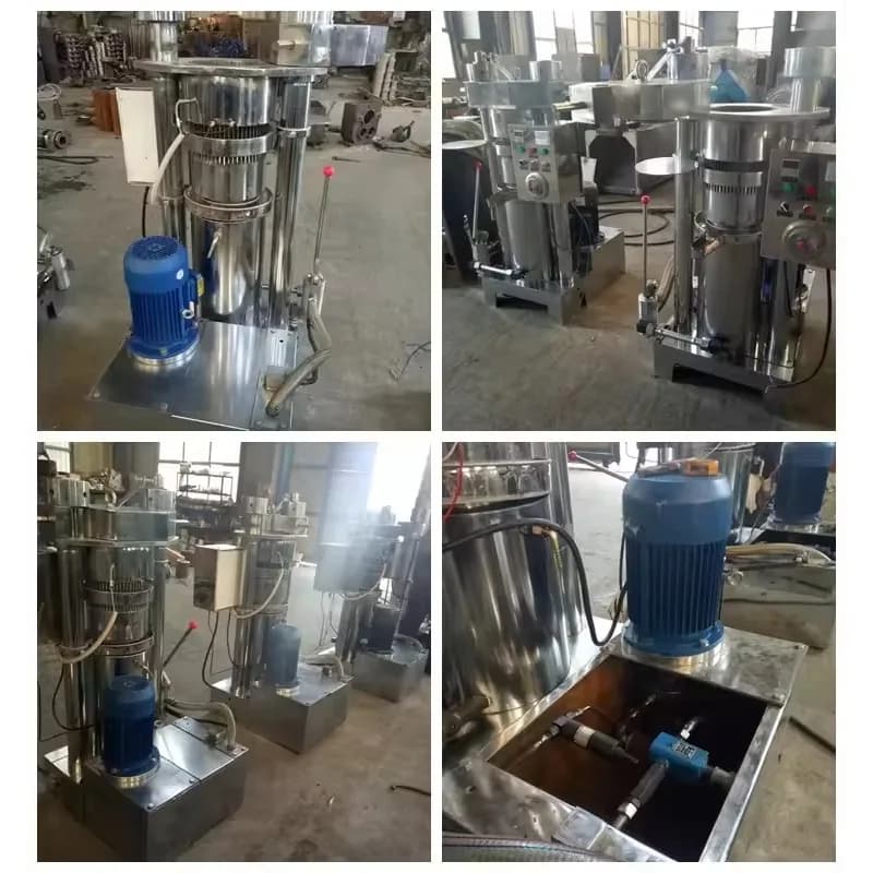 Machine personnalisée de presse à huile d'avocat pour l'extraction d'huile de soja de noix de piment d'olive Baobab opération facile offre spéciale