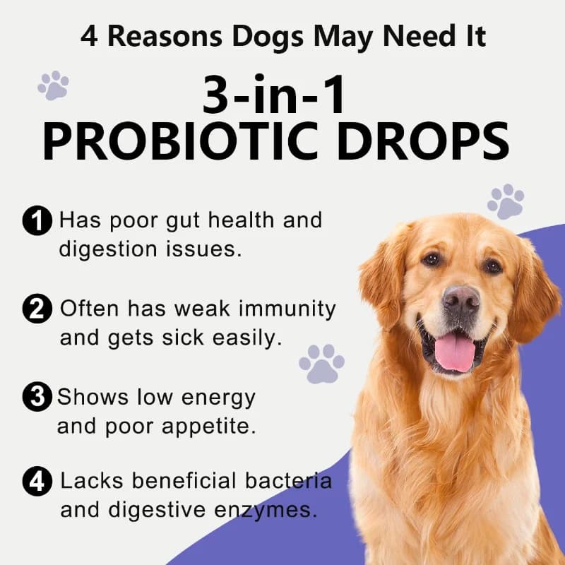 Gouttes Probiotiques Douces Comestibles pour le Soin Intestinal : Apaisent les Maux d'Estomac et Réduisent les Flatulences pour Animaux à Quatre Pattes d'Intérieur et d'Extérieur
