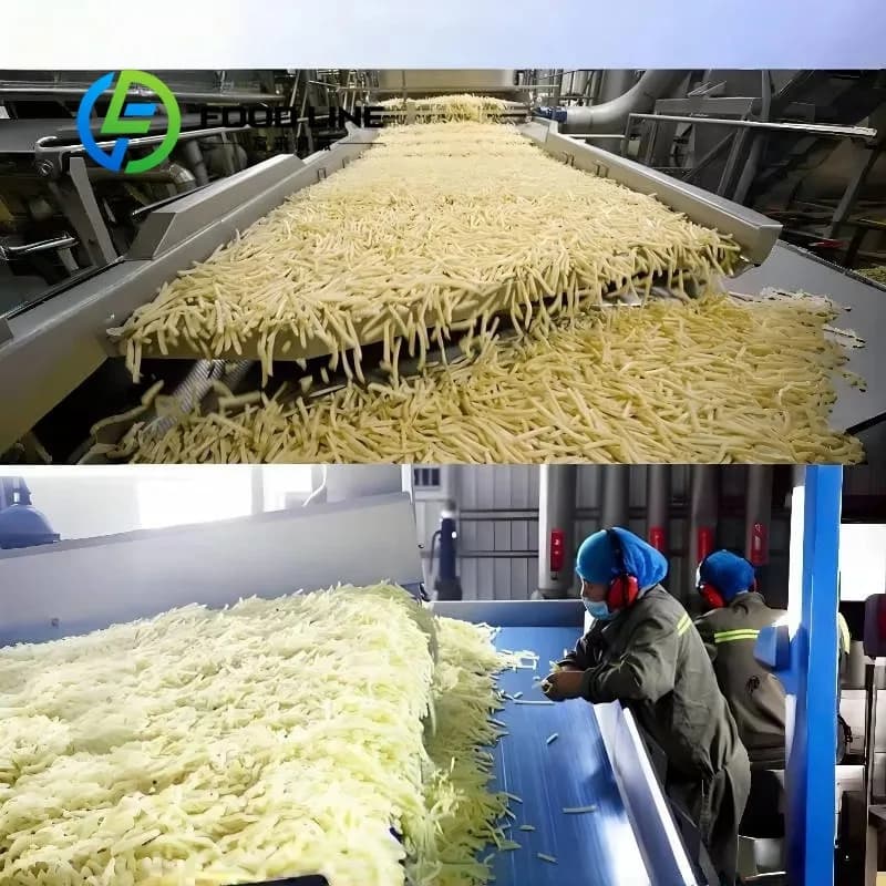 Ligne de production de frites avec filtre intégré et machine de friture continue pour purifier automatiquement l'huile