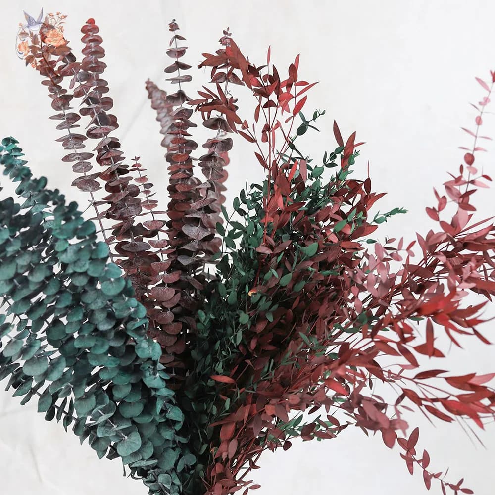 Feuille d'eucalyptus éternelle