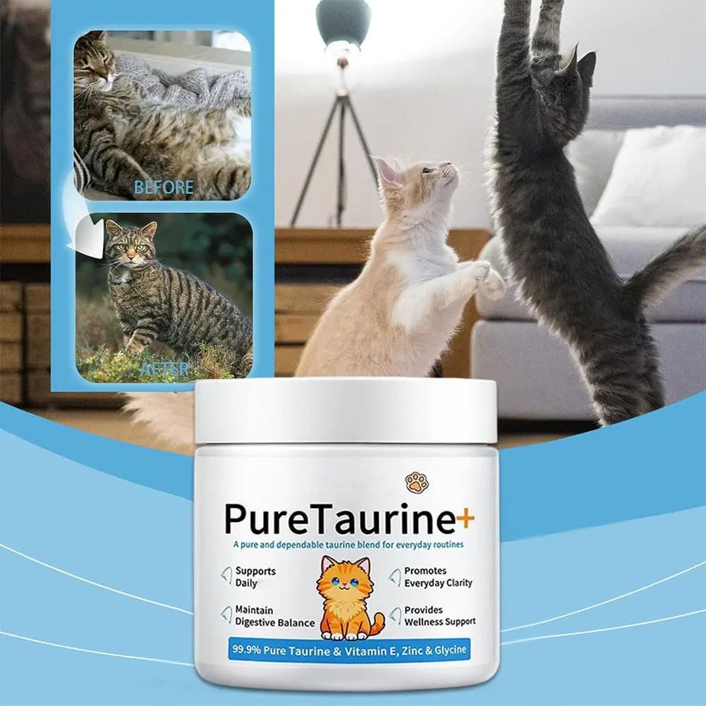 Complément alimentaire en poudre de taurine pour chats, 200 g, riche en taurine pure à 99,9 % pour aider à améliorer la santé des chats et favoriser l'équilibre digestif