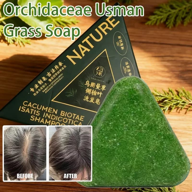 Shampoing à feuilles d'arborvitae orientales, savon, soulage les démangeaisons du cuir chevelu, renforce les racines des cheveux, contrôle de l'huile, Anti-pelliculaire, nouveau shampoing naturel