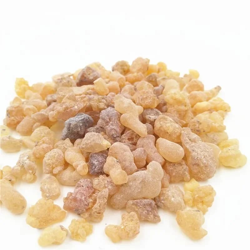 100g/50g original frankincense cônes mamelon boswellia favoriser la circulation sanguine encens brock oliban médecine hydrosol