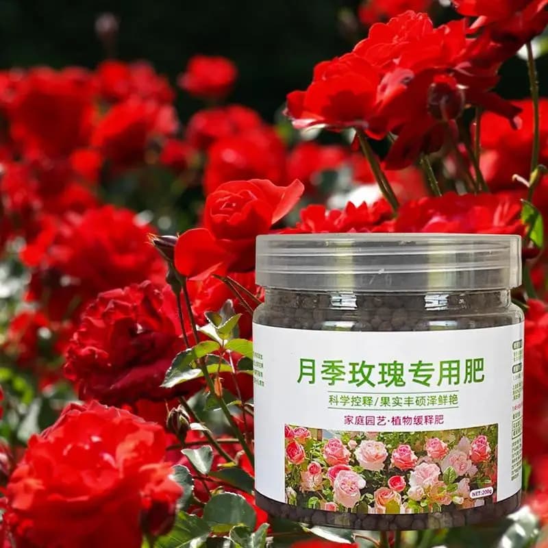 Rose Plant Food Navigateur de formule nutritionnelle, revêtement de technologie, fournitures professionnelles, 200g