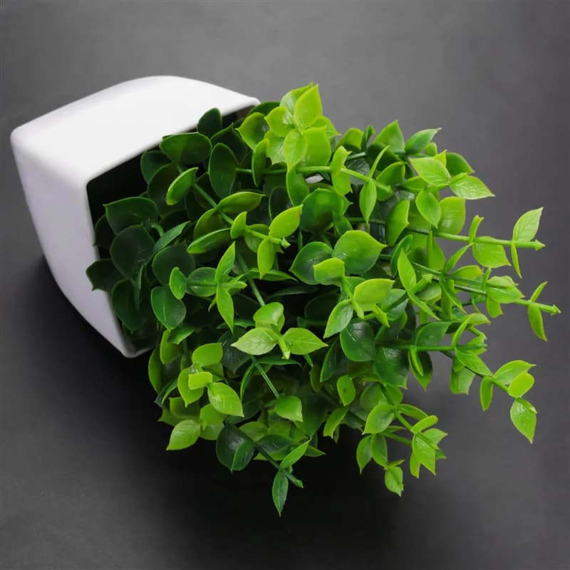 Emption! Paquet de 3 fausses plantes en Pots plante d'eucalyptus artificielle Mini