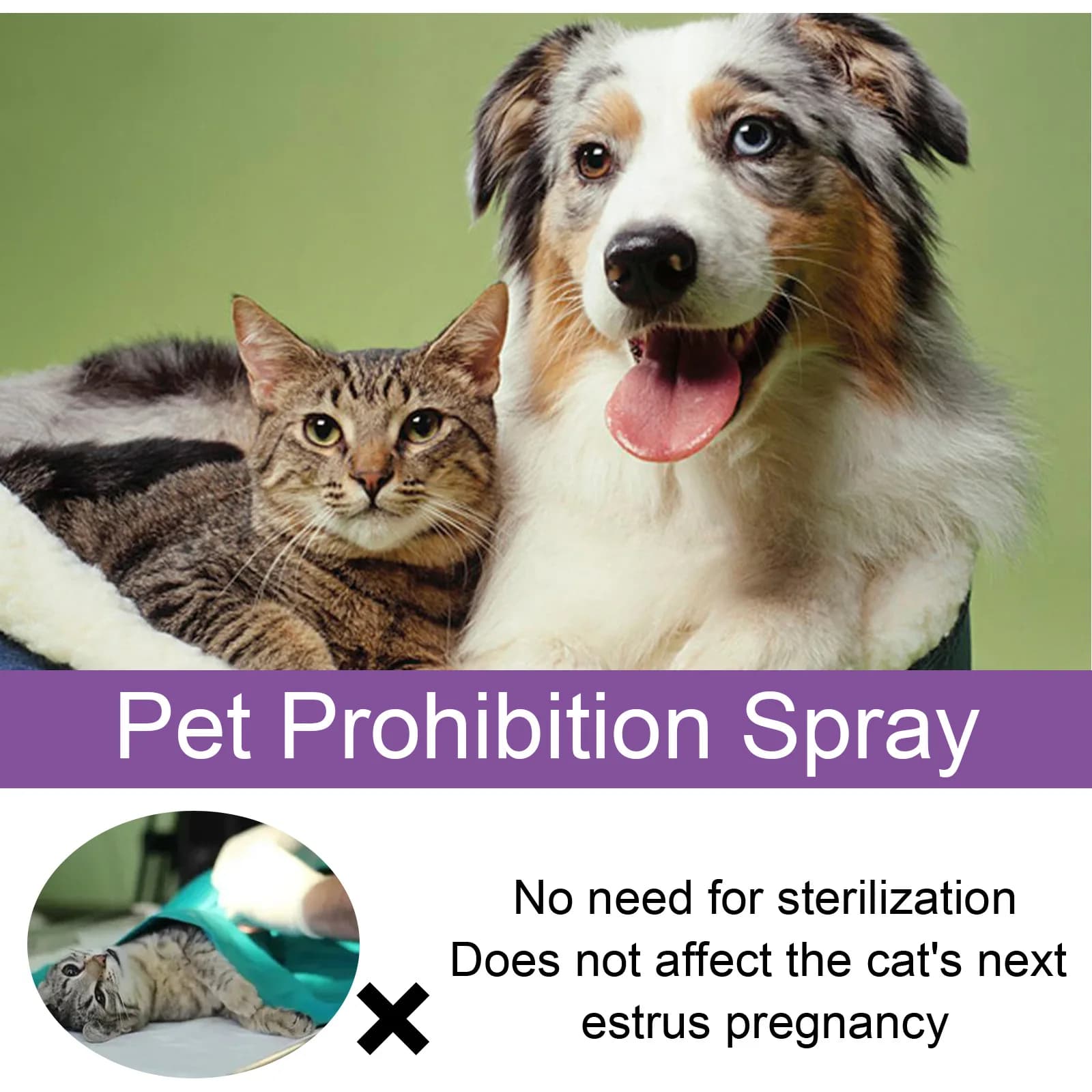 Spray apaisant pour animaux de compagnie