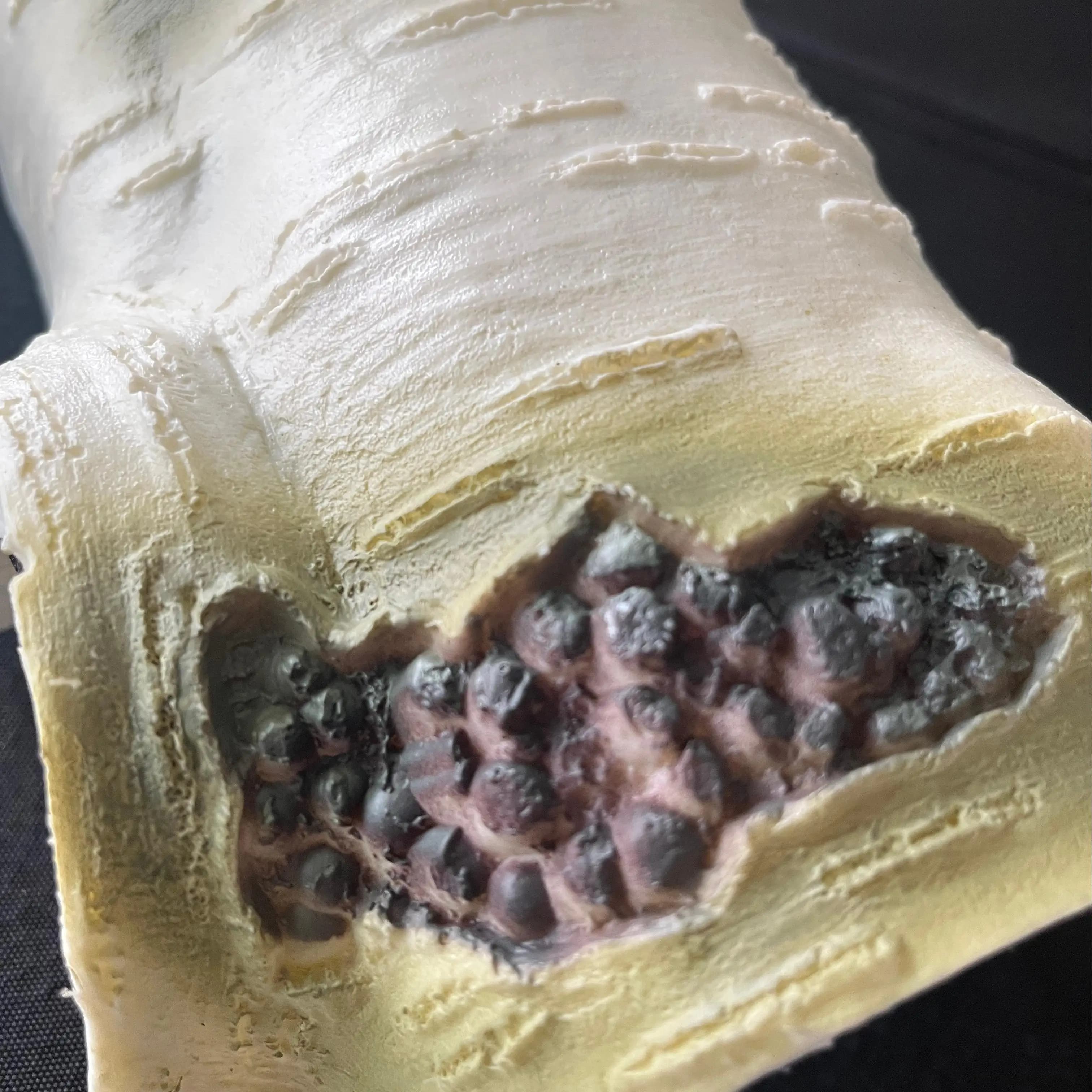 Grotte de cachette pour reptiles – Abri durable en résine à texture de bois de bouleau pour lézards et amphibiens, idéal pour perdre, détendre et jouer