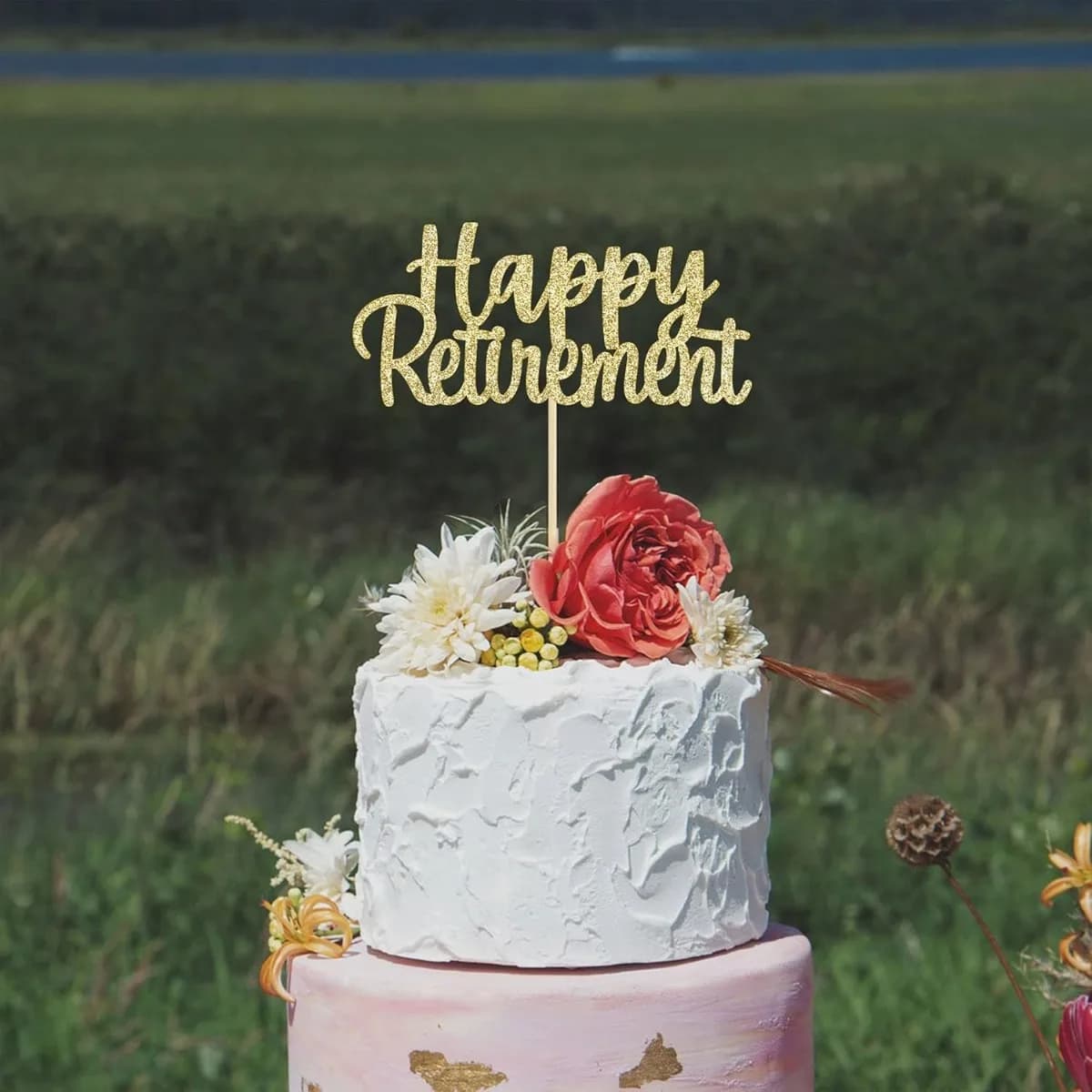 Décoration de gâteau de retraite joyeux, 1 pièce, choix de décoration de gâteau de retraite pour fête à la retraite, fournitures de décoration de gâteau