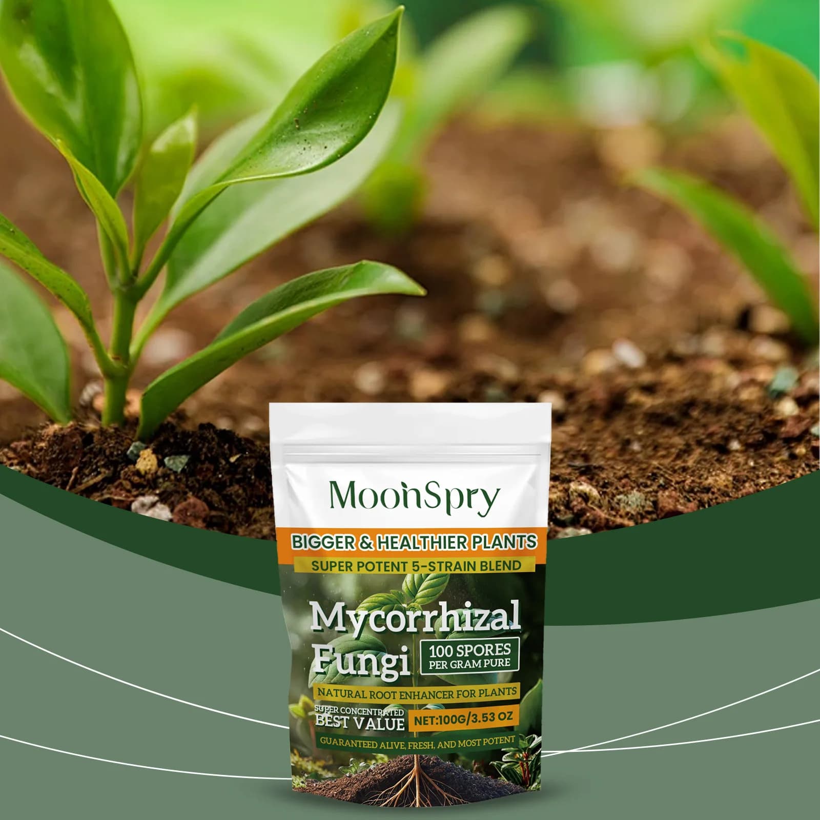 Poudre d'amélioration du système racinaire des plantes biologiques ; Complément nutritif pour les racines des plantes de jardin, améliore la nutrition du sol, poudre nutritive pour les plantes