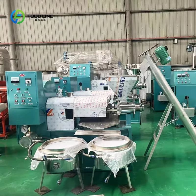 Presse à huile industrielle à vis pour palme, noix de coco et olive, à froid, nouvelle machine de production sur mesure pour petites et moyennes entreprises