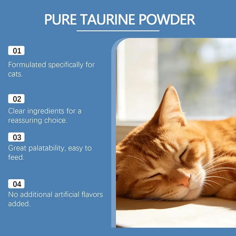 Poudre de taurine pour chat, soin des yeux et du cœur, complément alimentaire pour chatons et chats adultes, soutien du système immunitaire, additif alimentaire nutritif