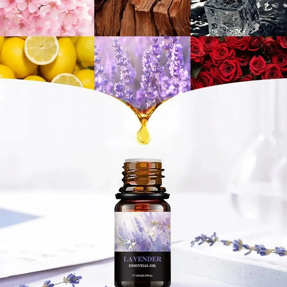 15 Huiles Parfumées Solubles dans l'Eau - Huile d'Aromathérapie 10ml pour Diffuseur