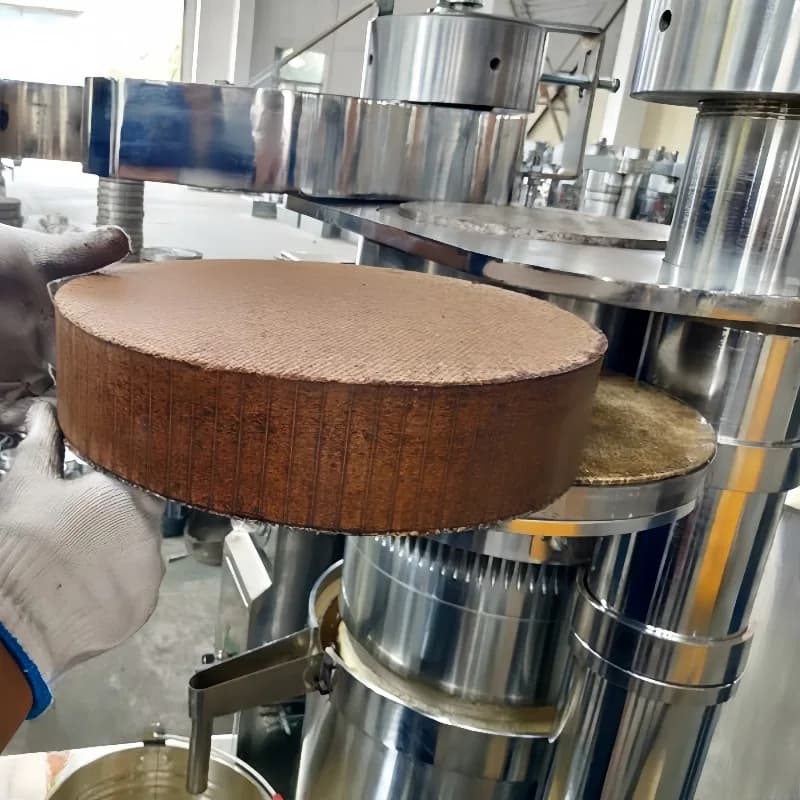 Machine personnalisée de presse à huile d'avocat pour l'extraction d'huile de soja de noix de piment d'olive Baobab opération facile offre spéciale