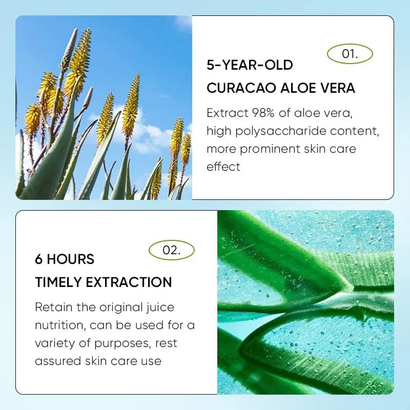 Baume à l'aloe vera pour les lèvres nourrissant, rafraîchissant, hydratant et hydratant, prévient les fissures et répare les lèvres douces et non irritantes