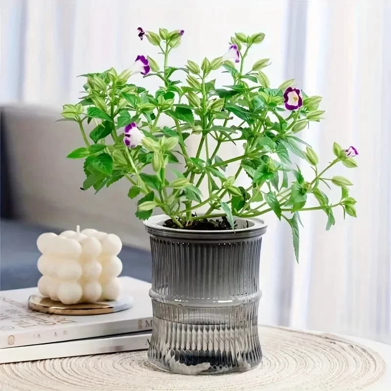 Pot de fleur hydroponique paresseux, Pot de fleurs automatique absorbant l'eau, Transparent, Double couche en plastique, jardinière auto-arrosage pour le bureau
