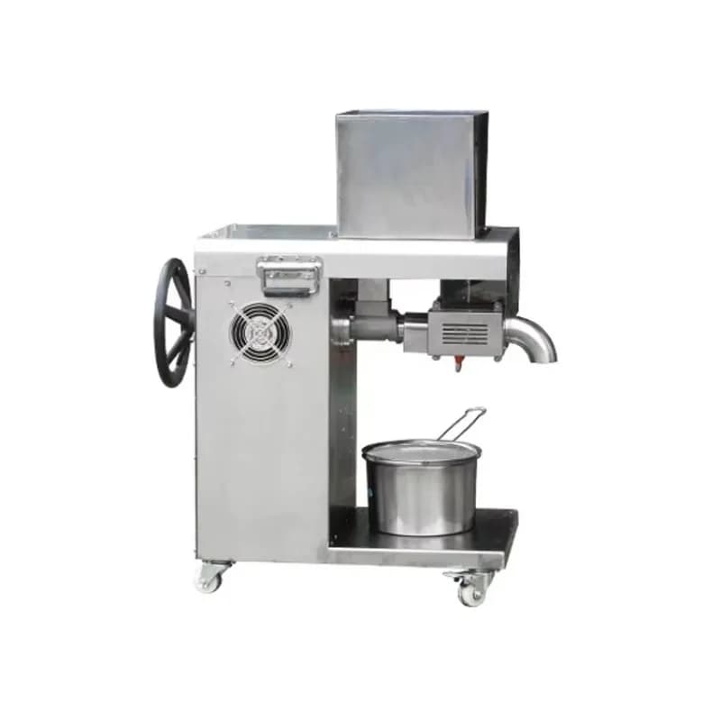 Mini presse à huile d'olive et de noyer, personnalisée, de haute qualité, automatique, pour la cuisine domestique, Machine d'extraction fraîchement pressée