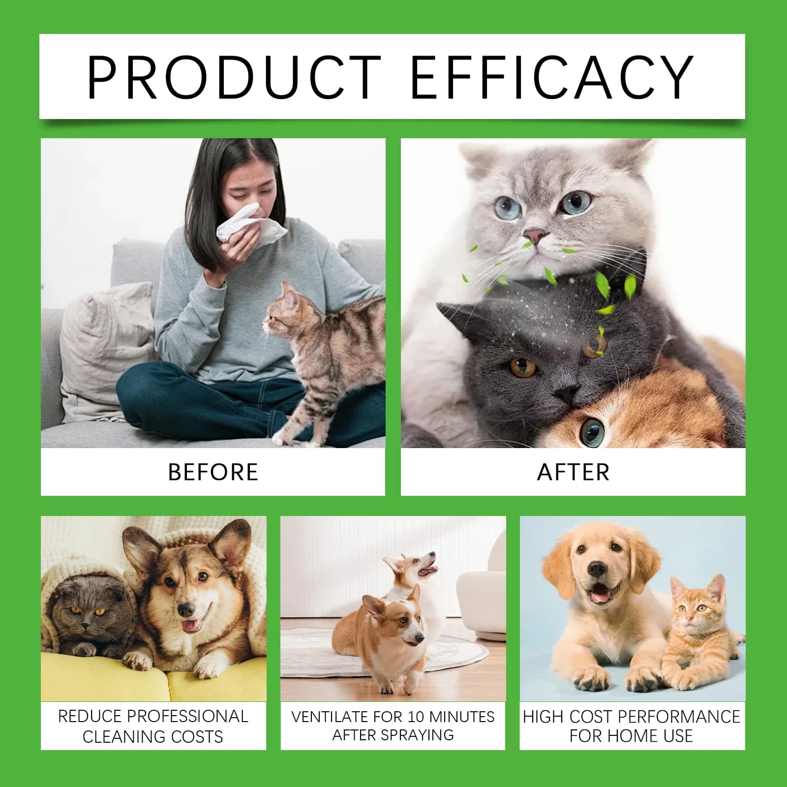 Spray éliminateur d'odeurs d'animaux de compagnie, pour accidents d'urine de chien et de chat sur tapis, brume désodorisante naturelle sans parfum synthétique