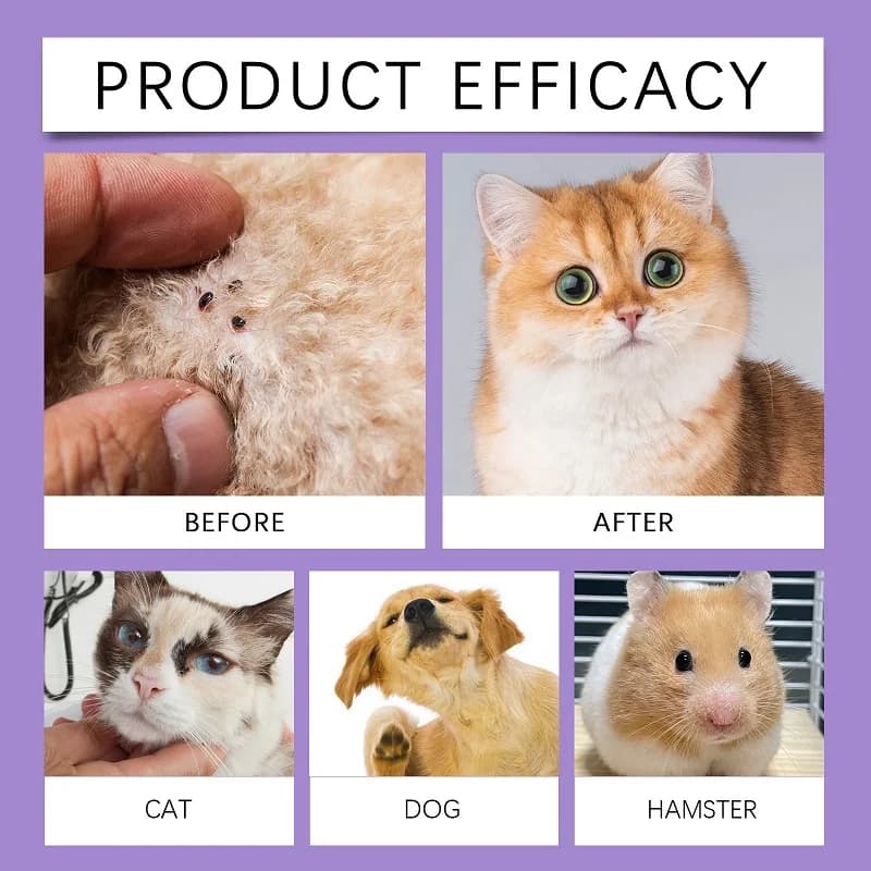 Spray de tir répulsif contre les pouces et les acariens pour animaux de compagnie, avec ingrédients naturels, huiles essentielles pour chiens et chats, dissolvant d'insectes externe