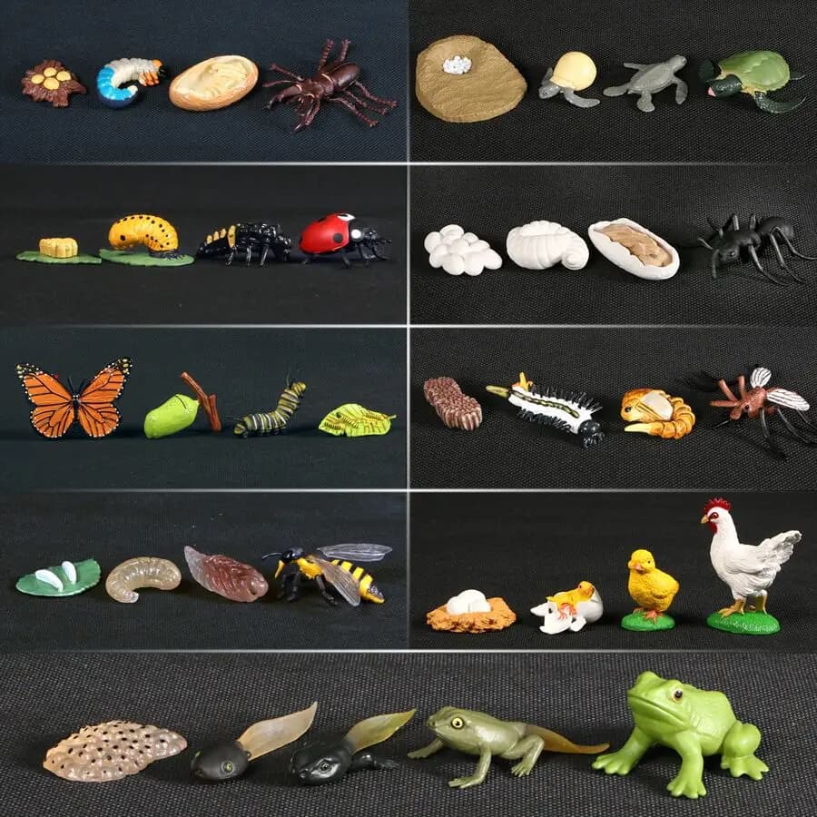 Figurines de créatures de la mer du cambodge en plastique, modèle Miniature, jouet, Figurines préhistoriques, Baculite, opabilia, Nautilus, Trilobita, Eurypterida
