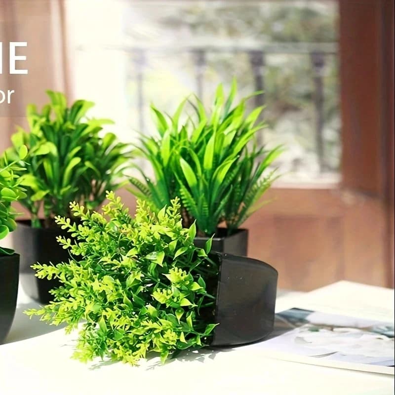 Pot noir de fausse plante
