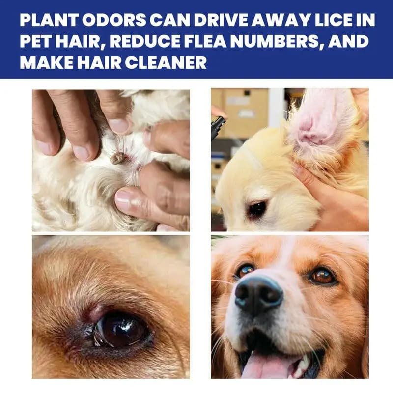 Gouttes anti-puces pour animaux de compagnie, insecte anti-puces, poux, sans danger pour la maison et les chats, chiens, prévenir les tiques, 100ml