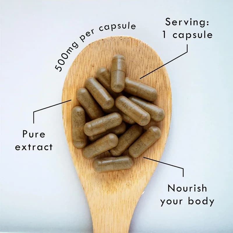 Capsules de Shilajit pur de l'Himalaya