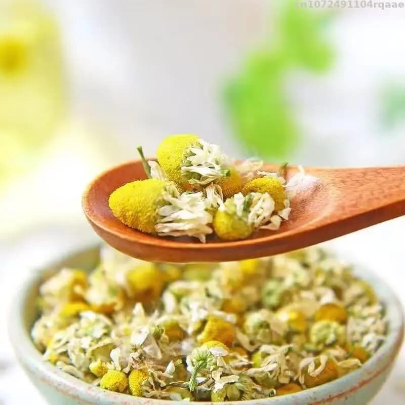 Fleurs séchées de camomille 100% naturelles, pour savon parfumé, bougie de mariage, mélange décoratif de matériaux de fleurs, fabrication de Sachets, remplissage d'oreiller