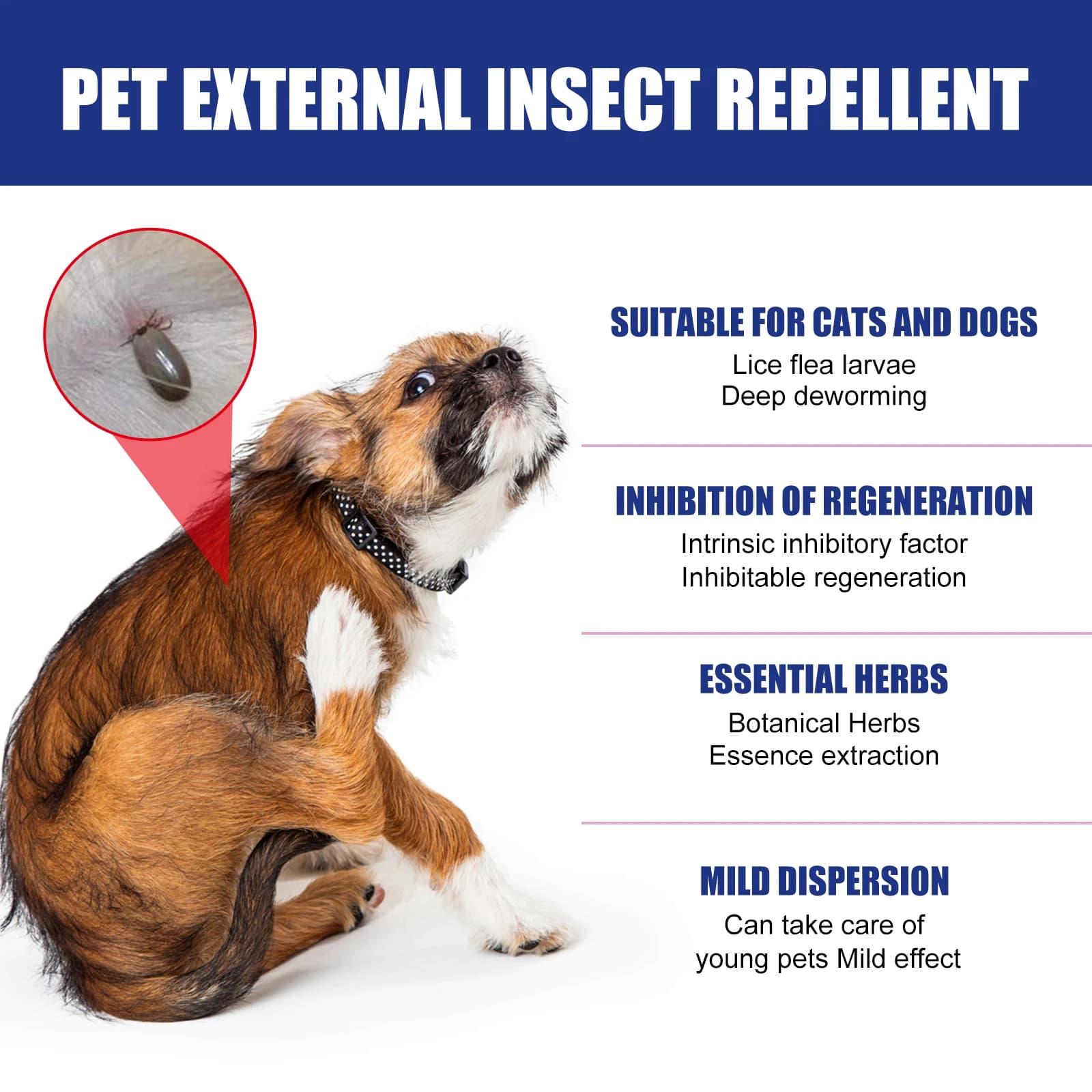 Spray naturel pour les puces pour chiens et chats, répulsif pour les puces et les tiques à base de plantes, huiles essentielles, traitement des puces, soulagement des démangeaisons, Spray pour animaux