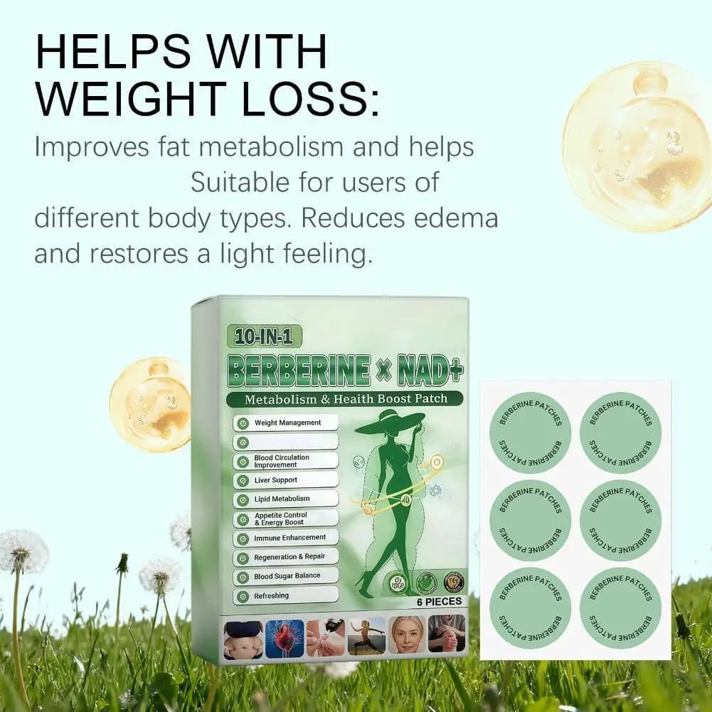 Patch Métabolisme Berbérine NAD+ - 6 Pièces - Équilibre Glycémique & Soutien Immunitaire