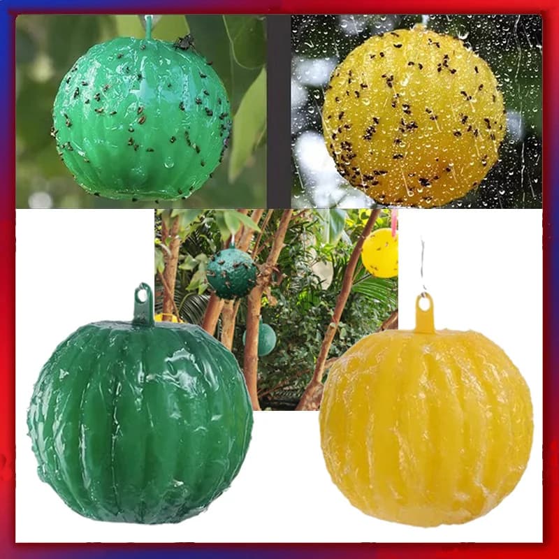 Pièges à mouches à fruits