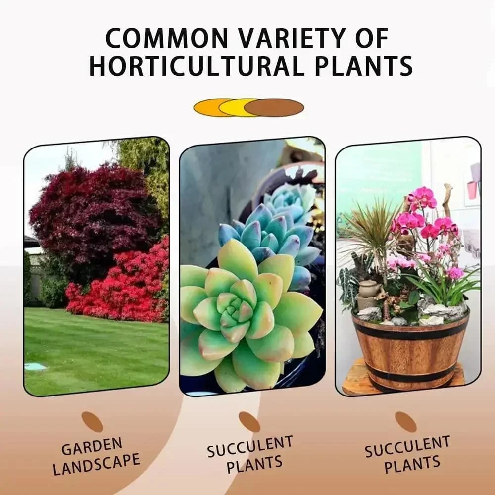 Stimulateur d'enracinement rapide pour plantes