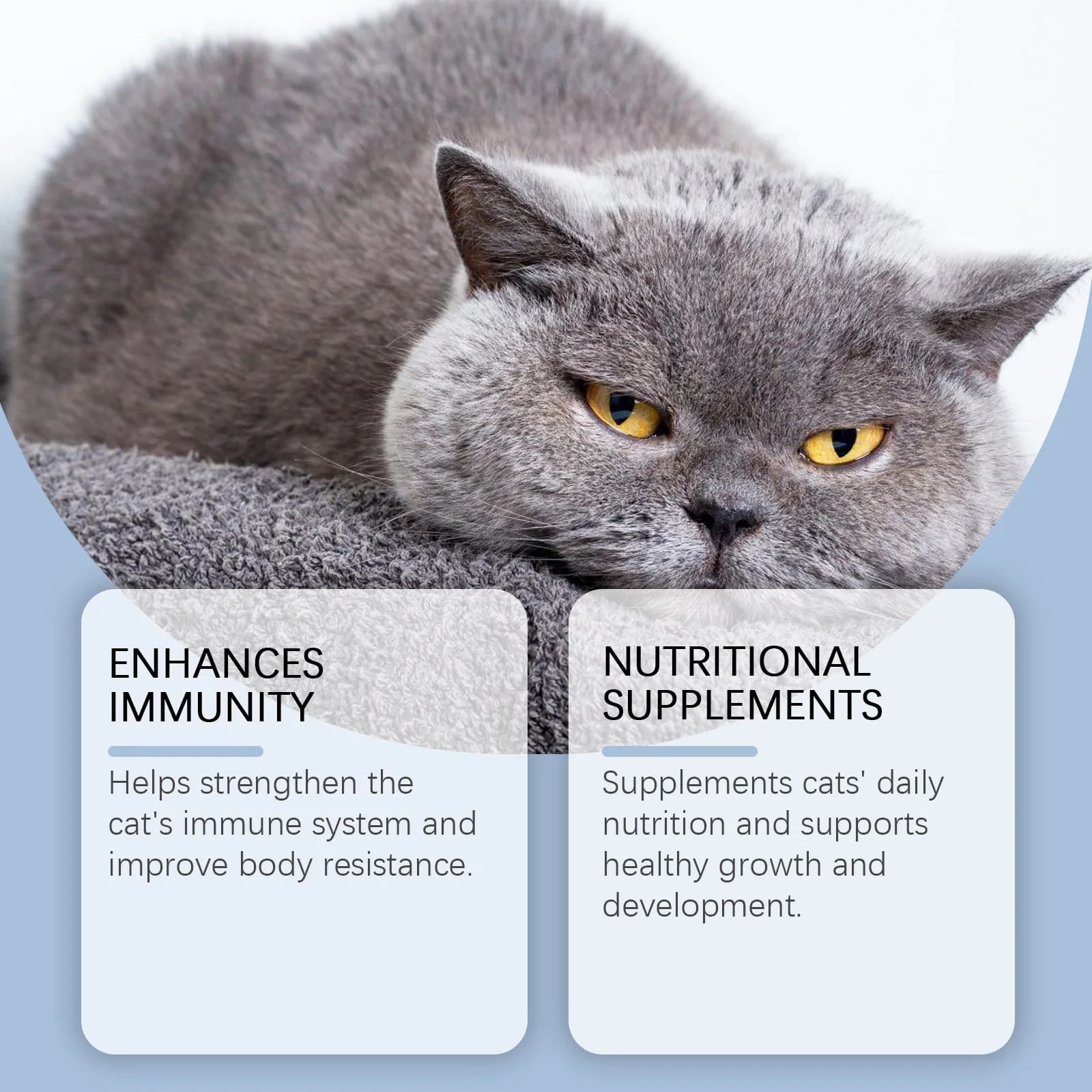 Yegbong 50 ml supplément vitaminique pour chat soins quotidiens pour aider à la nutrition