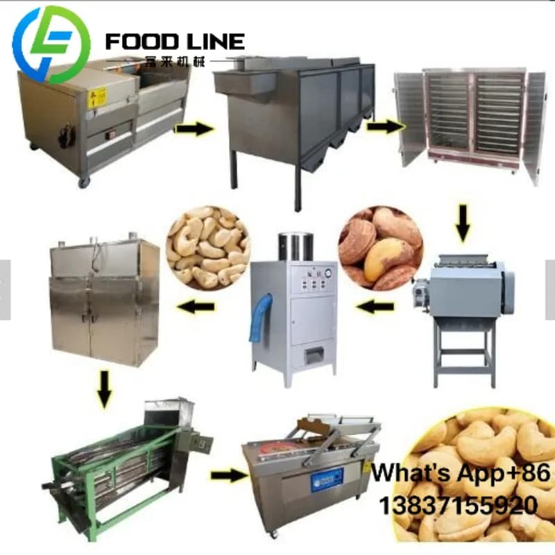 Ligne de décorticage d'écrous commerciale, équipement de traitement de qualité professionnelle pour diverses noix avec technologie d'économie d'énergie