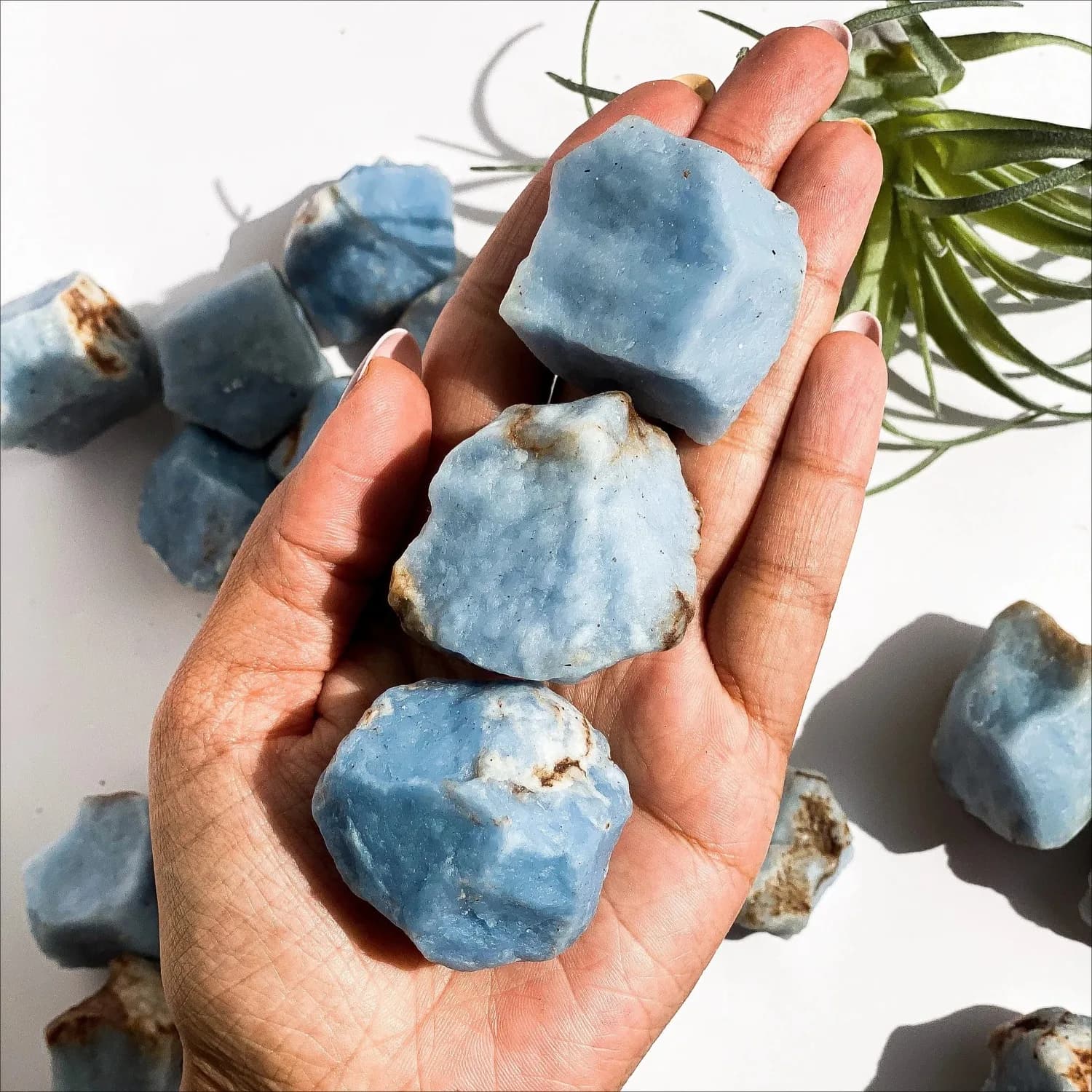 Pierre brute d'Angélite naturelle-Collection de cristaux minéraux de haute qualité, décoration parfaite pour la maison, spécimens non transformés