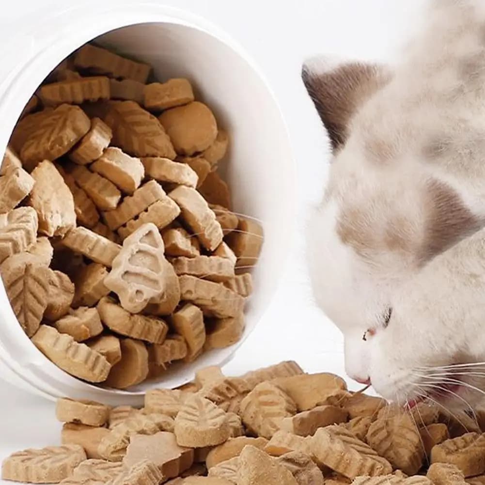 Filet d'Herbe de Chat avec 2 Vitamines et Huile de Poisson