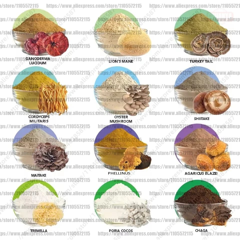 50g-1000g Vente Directe d'Origine 10 Variétés de Champignons Mélangés [Cordyceps, Cepes, Shiitake, Reishi, Crinière de Lion, Shiitake, Maitake, Queue de Dinde]