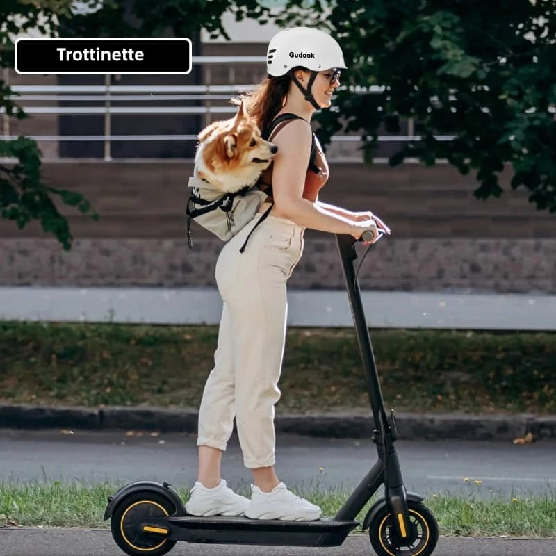 Casque de vélo pour adulte pour vélo, cyclisme, patinage, skateboard, casque de très grande circonférence de la tête L 58-61 cm et XL 61-64 cm