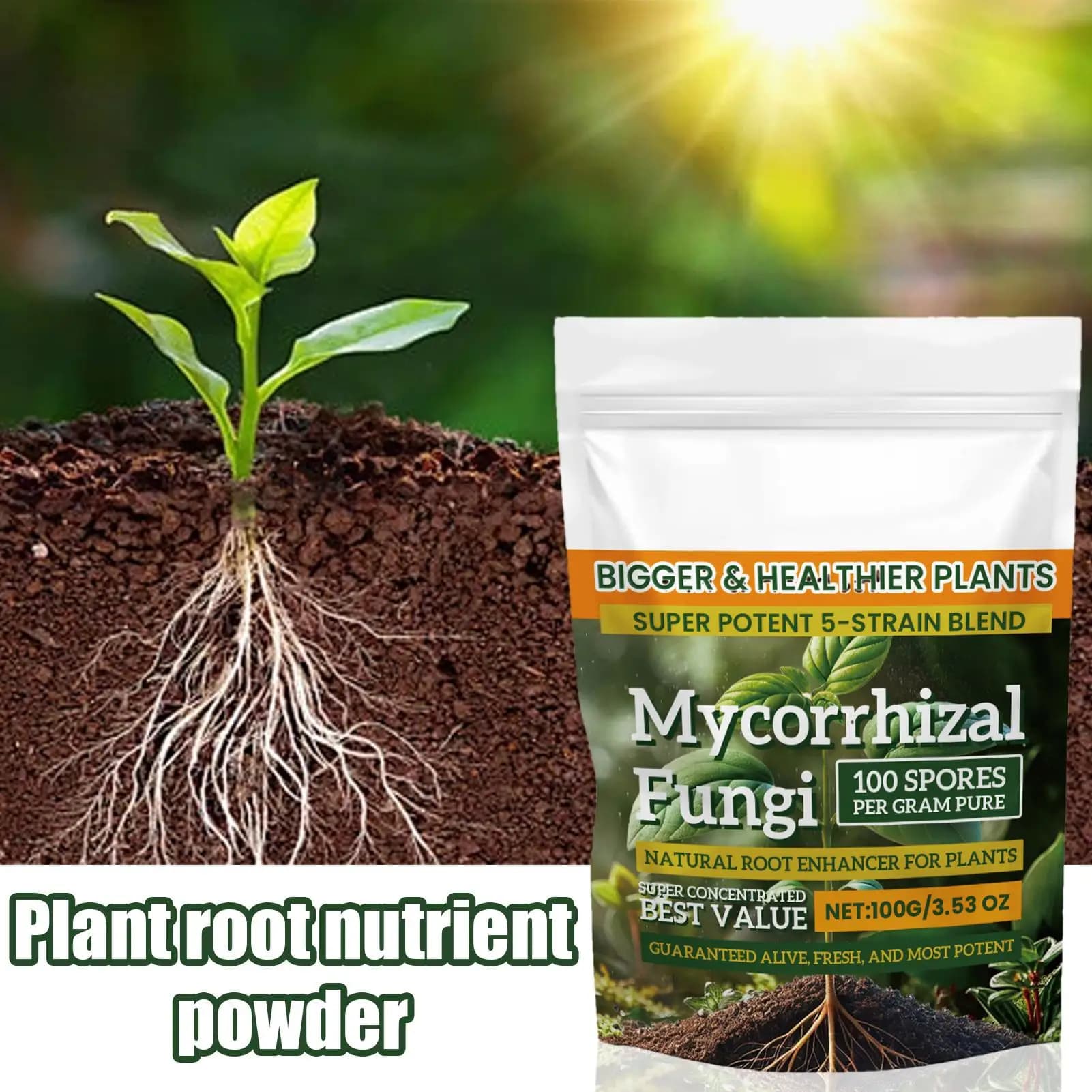 Poudre d'engrais pour plantes, 100g, pour la croissance des plantes, nutritif, supplément d'enracinement sûr et efficace pour la culture hydroponique du sol