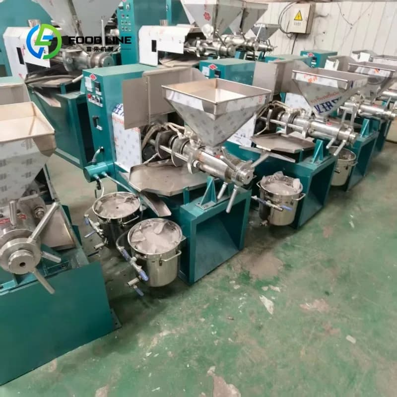 Petite presse à huile d'olive commerciale personnalisée