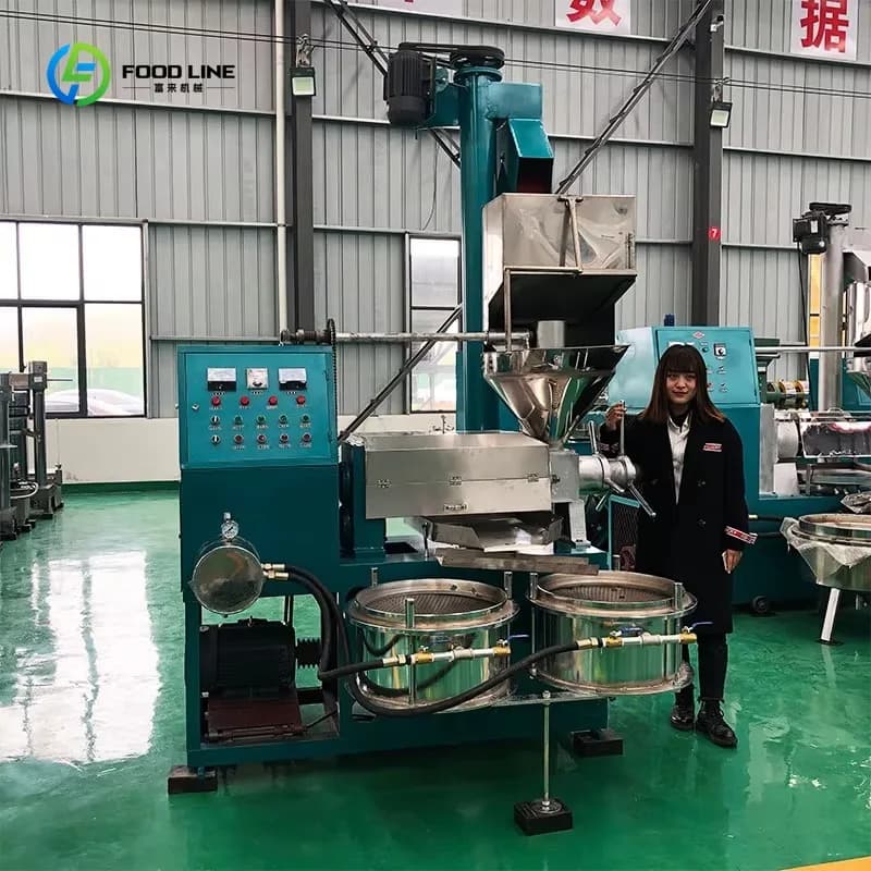 Presse à huile industrielle à vis pour palme, noix de coco et olive, à froid, nouvelle machine de production sur mesure pour petites et moyennes entreprises