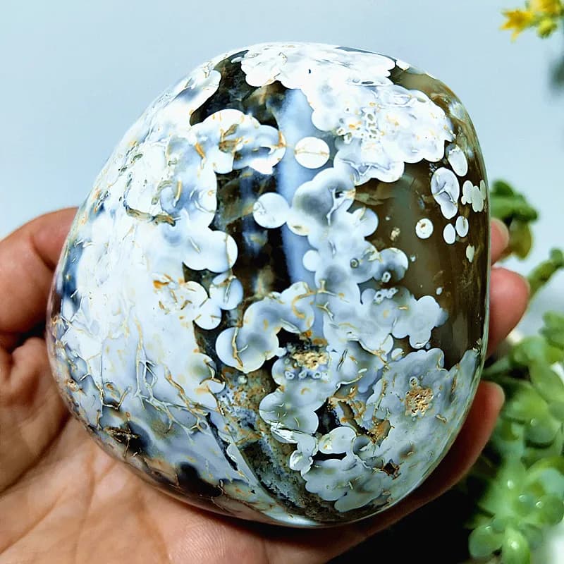 Pierres Naturelles Magnifiques Fleurs Agate Palm Herat