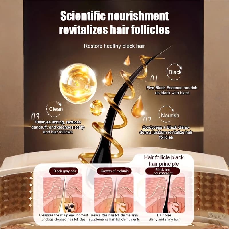 Cordyceps Shampooing anti-huile Shampooing nourrissant pour soins capillaires Shampooing antipelliculaire Shampooing anti-démangeaisons Shampooing pour cheveux moelleux