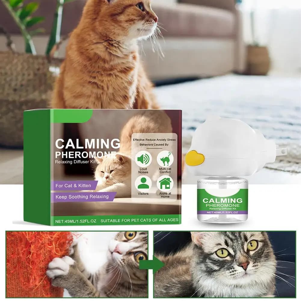 Kit diffuseur de phéromones apaisantes pour chat avec recharge – Soulagement relaxant de l'anxiété et du stress