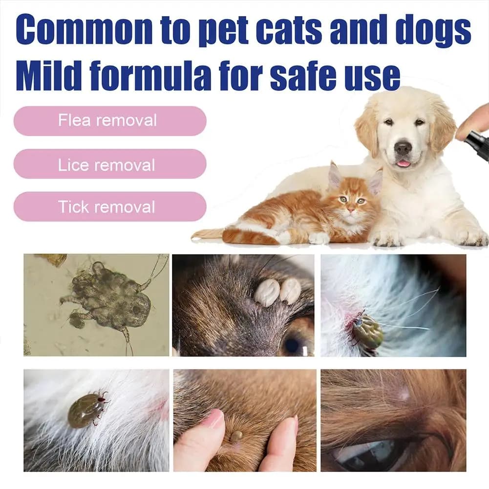 Gouttes anti-puces pour chiens et chats, 100ml, insecticide, spray anti-puces et poux, formule concentrée anti-puces et tiques, anti-puces pour animaux de compagnie
