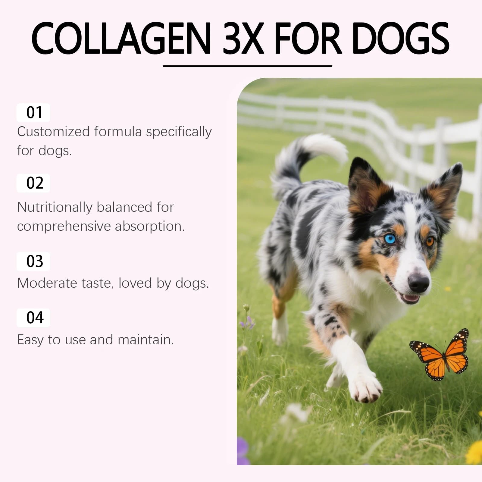 Gouttes de collagène pour chien 60 ml