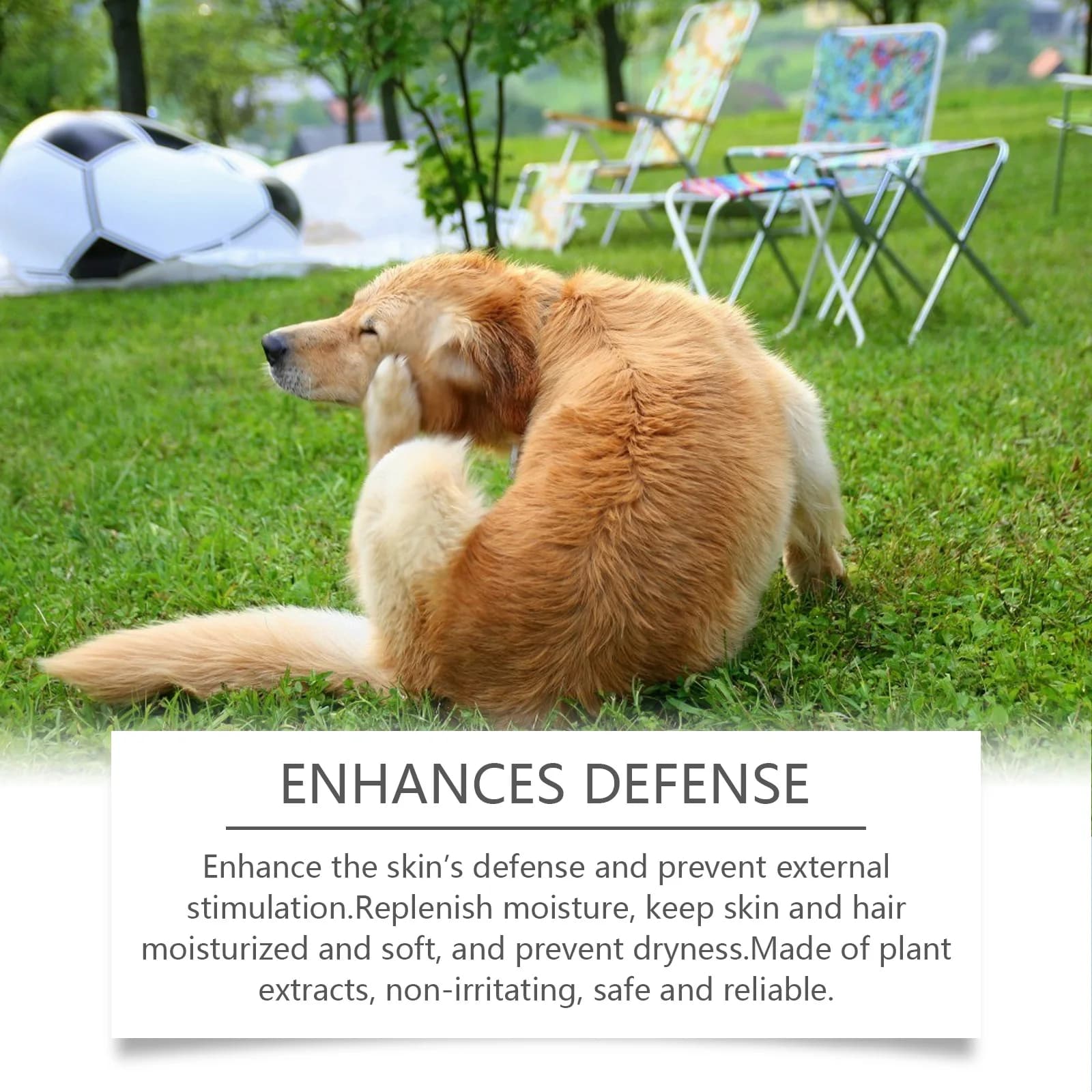 Shampoing Anti-démangeaisons avec huile de noix de coco pour chiens, prévient la sécheresse, soulage les démangeaisons, nettoyage en profondeur des poils de chien, shampoing de lavage des animaux de c