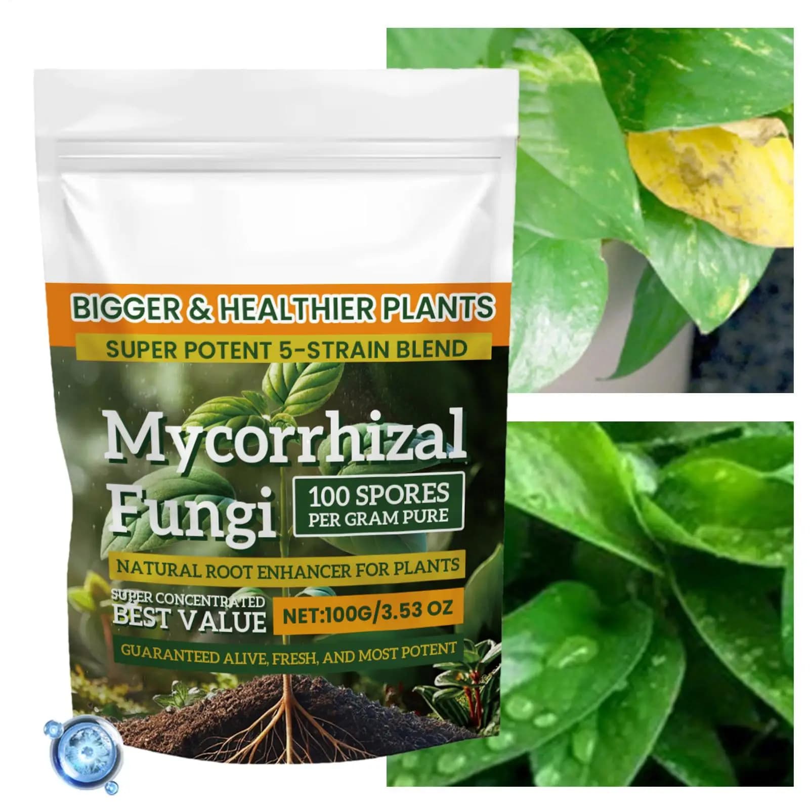 Poudre d'engrais pour plantes, 100g, pour la croissance des plantes, nutritif, supplément d'enracinement sûr et efficace pour la culture hydroponique du sol